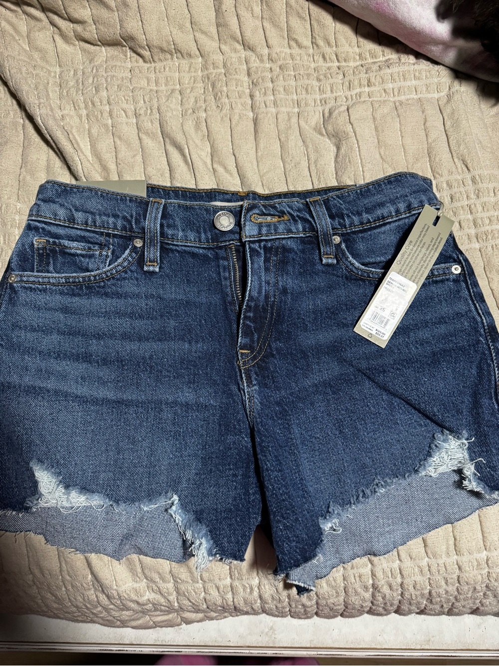 Hudson Dark Wash Denim Cutoff Shorts - Women